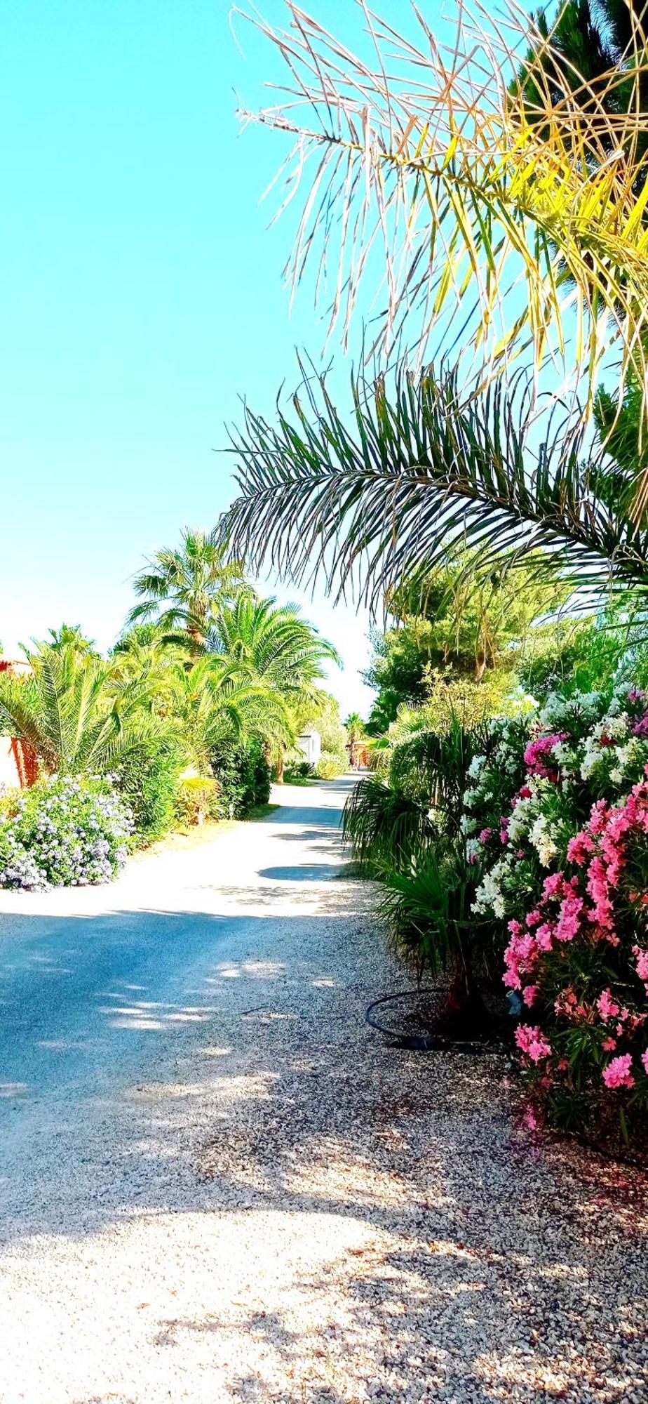 Happymobilhome Argeles-Sur-Mer -Plage A 500M- Camping 4 Etoiles Del Mar Exterior foto